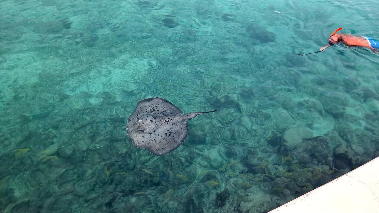 Strand Summer Island Maldives