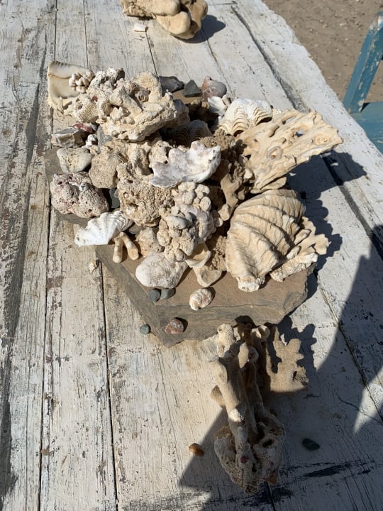 Strand Menaville Safaga