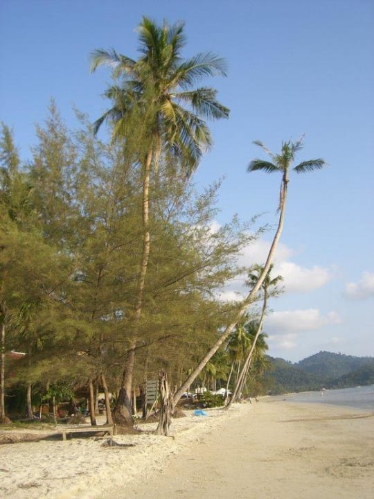 Strand Santhiya Tree Koh Chang Resort
