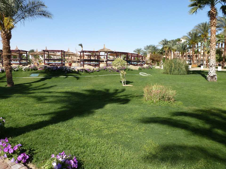Garten Beach Albatros Resort