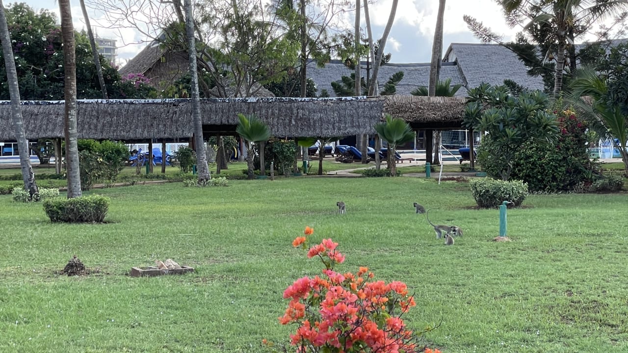 Gartenanlage Reef Hotel Mombasa