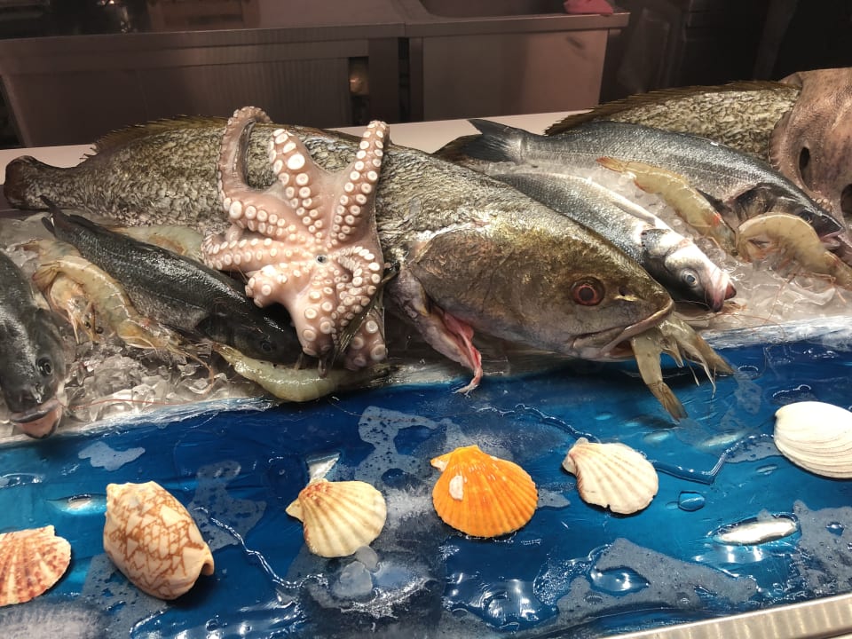 Gastro Paralos Lifestyle Beach