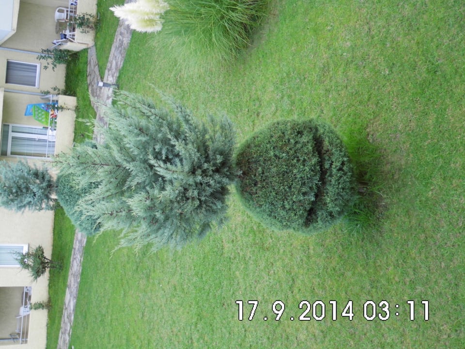 Schon gesehen ? alltoura Club Hotel Poseidon Palace