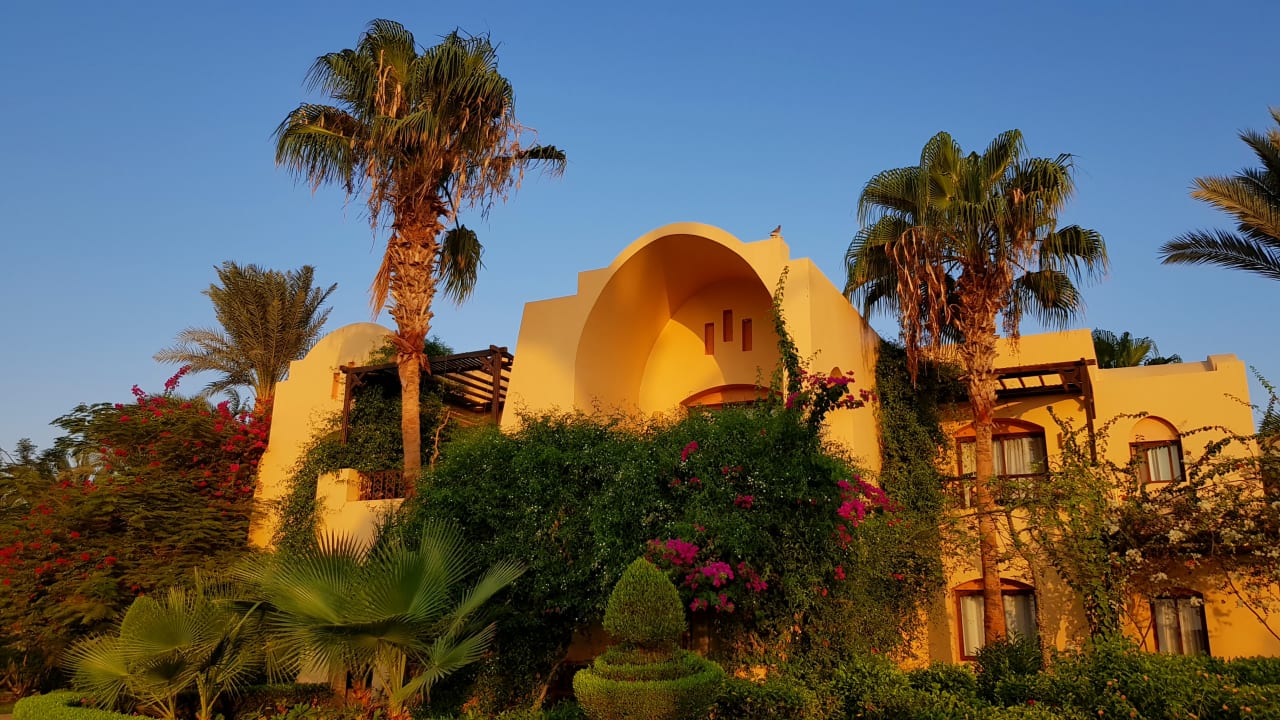 Gartenanlage Steigenberger Coraya Beach - Adults only