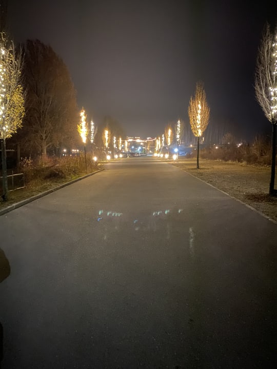 Ausblick Spirit & SPA Hotel Birkenhof am Elfenhain