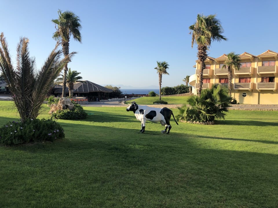 Gartenanlage Hotel Kalithea Horizon Royal