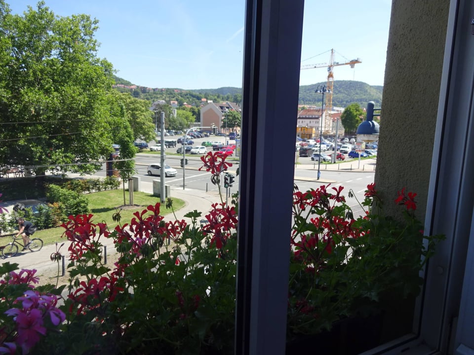 Blick aus Fenster Hotel & Restaurant Schwarzer Bär