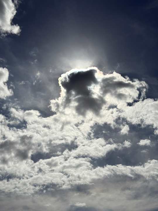 Sonstiges Sol Arona Tenerife
