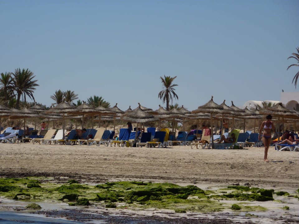 Strandabschnitt mit Liegen Hotel Seabel Rym Beach Djerba