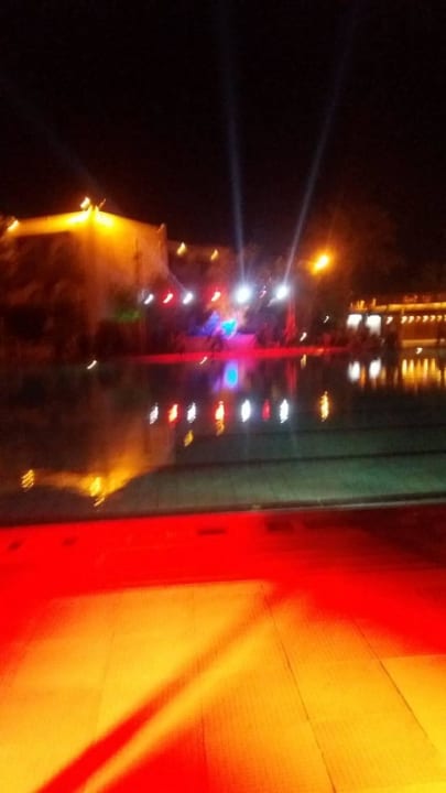 Halloween Desert Rose