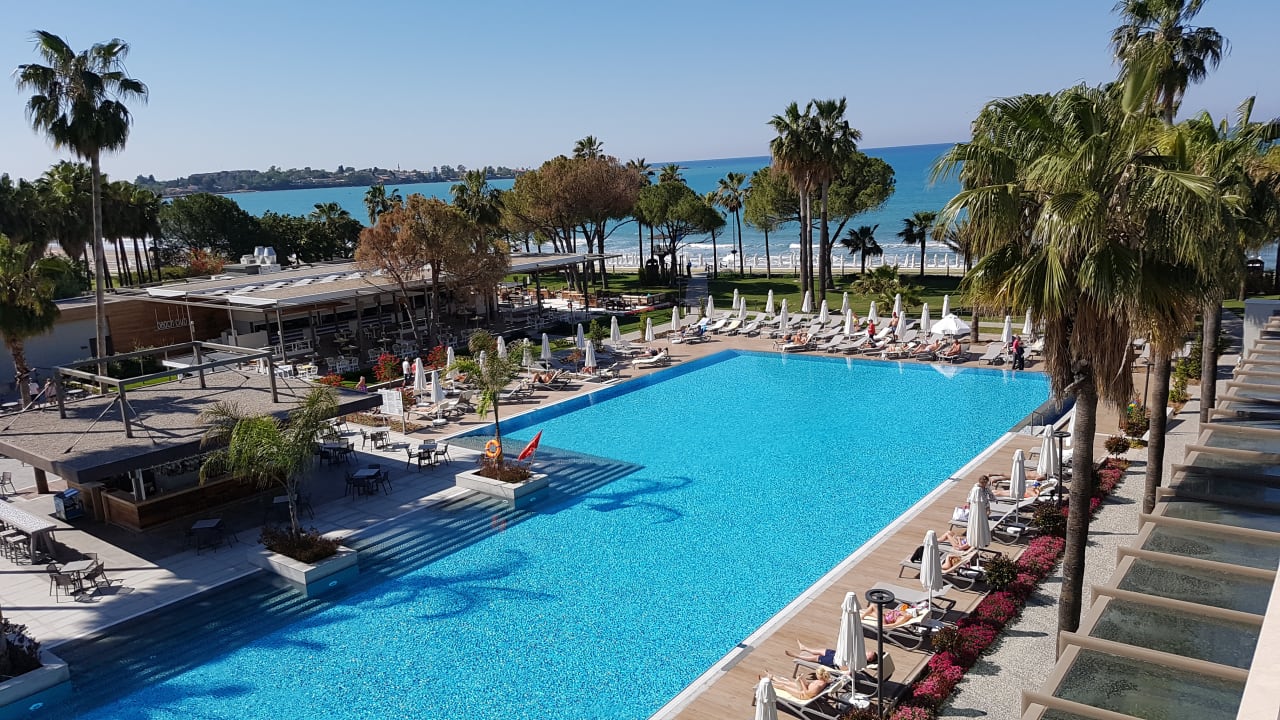 Pool Acanthus Cennet Barut Collection