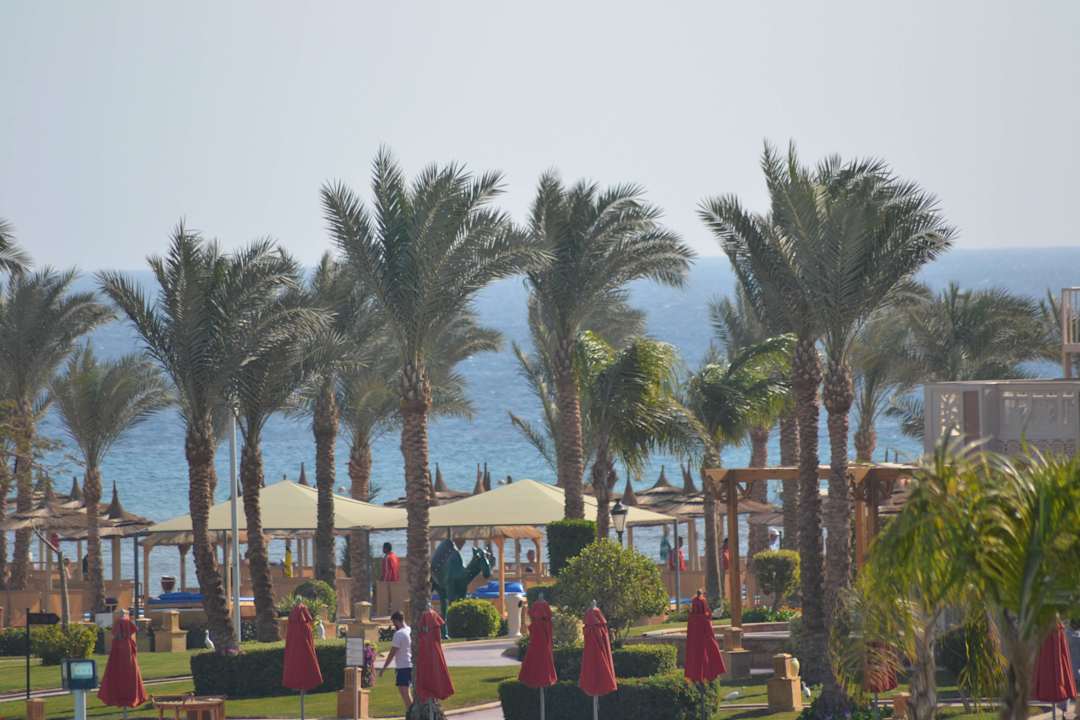 Strand Pickalbatros Palace Resort