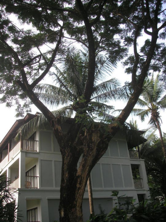 Eins von 8 Hotelgebäuden Dusit Thani Krabi Beach Resort