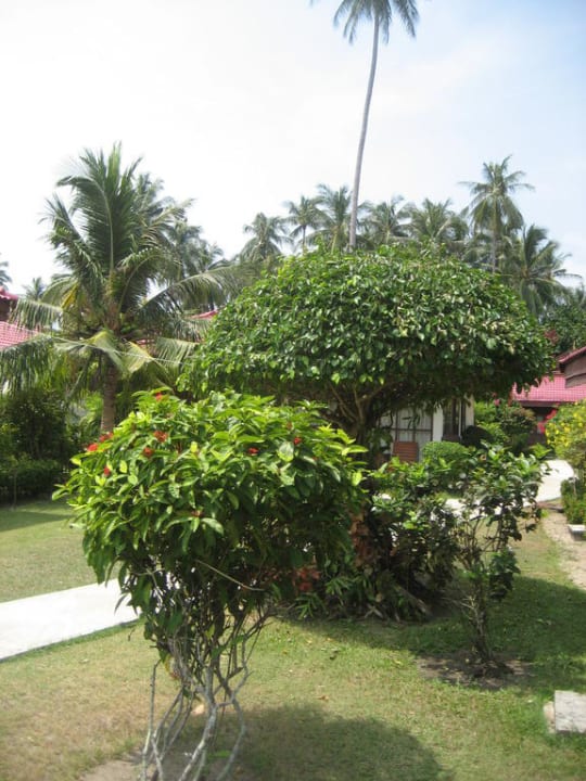 Gartenanlage Viva Vacation Resort