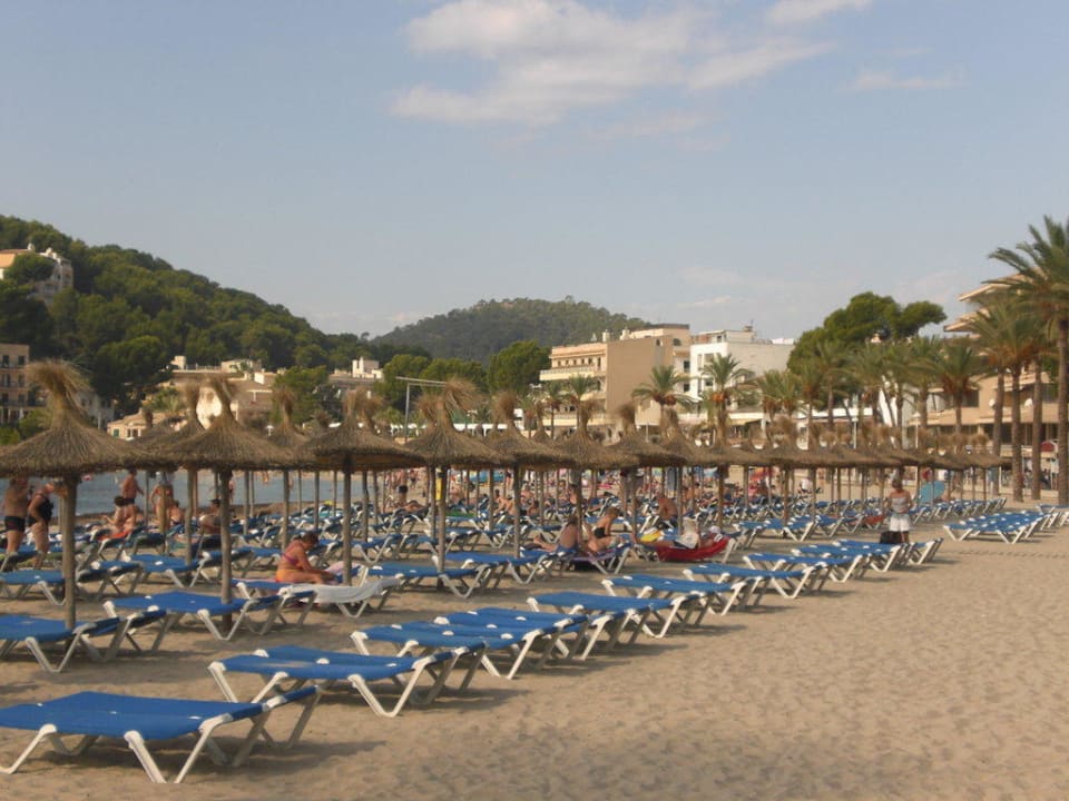 Liegen am Strand Valentin Reina Paguera