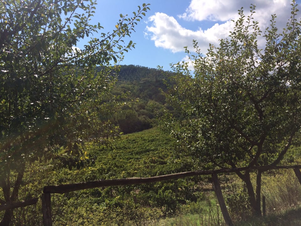 Außenansicht Agriturismo Fattoria di Castiglionchio