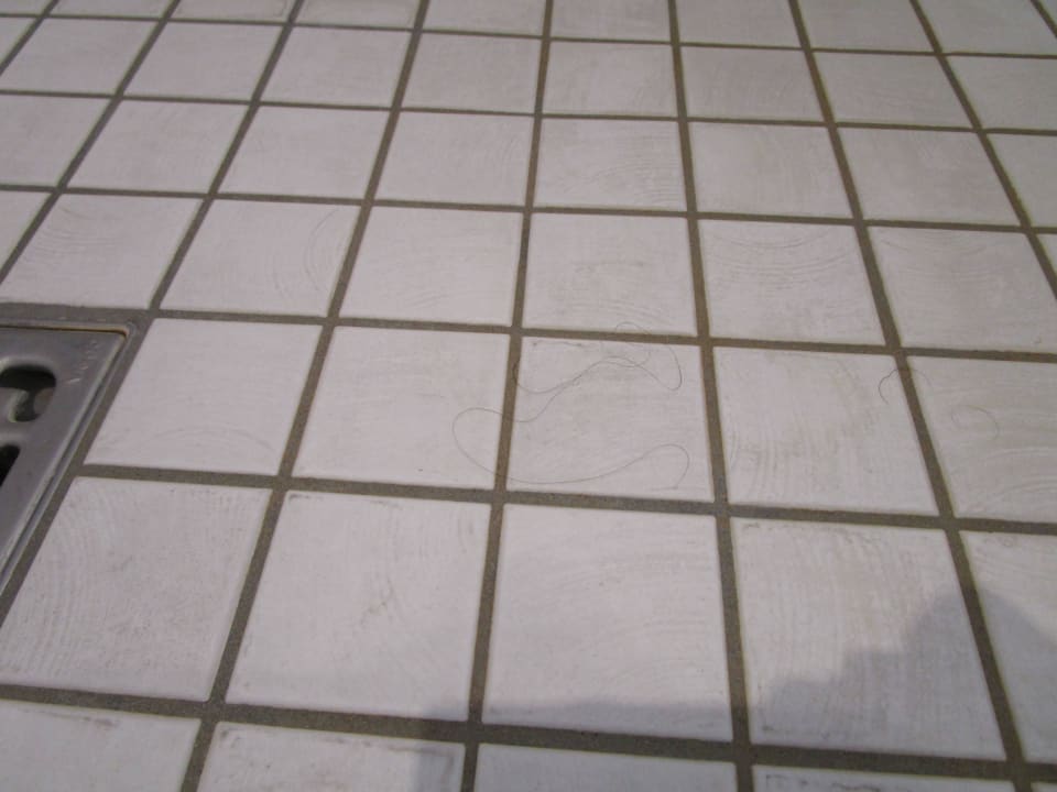 Die Haare in der Dusche  Hotel Zum Schiff