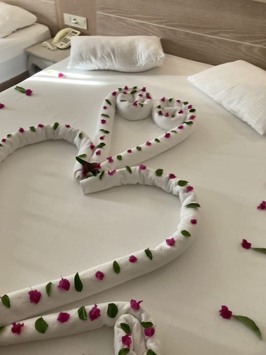 Zimmer Seaden Sea Planet Resort & Spa
