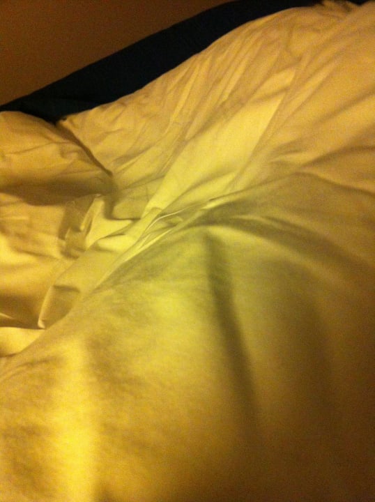 Mercure Hotel Hanseatic Bremen Tryp by Wyndham Bremen Airport