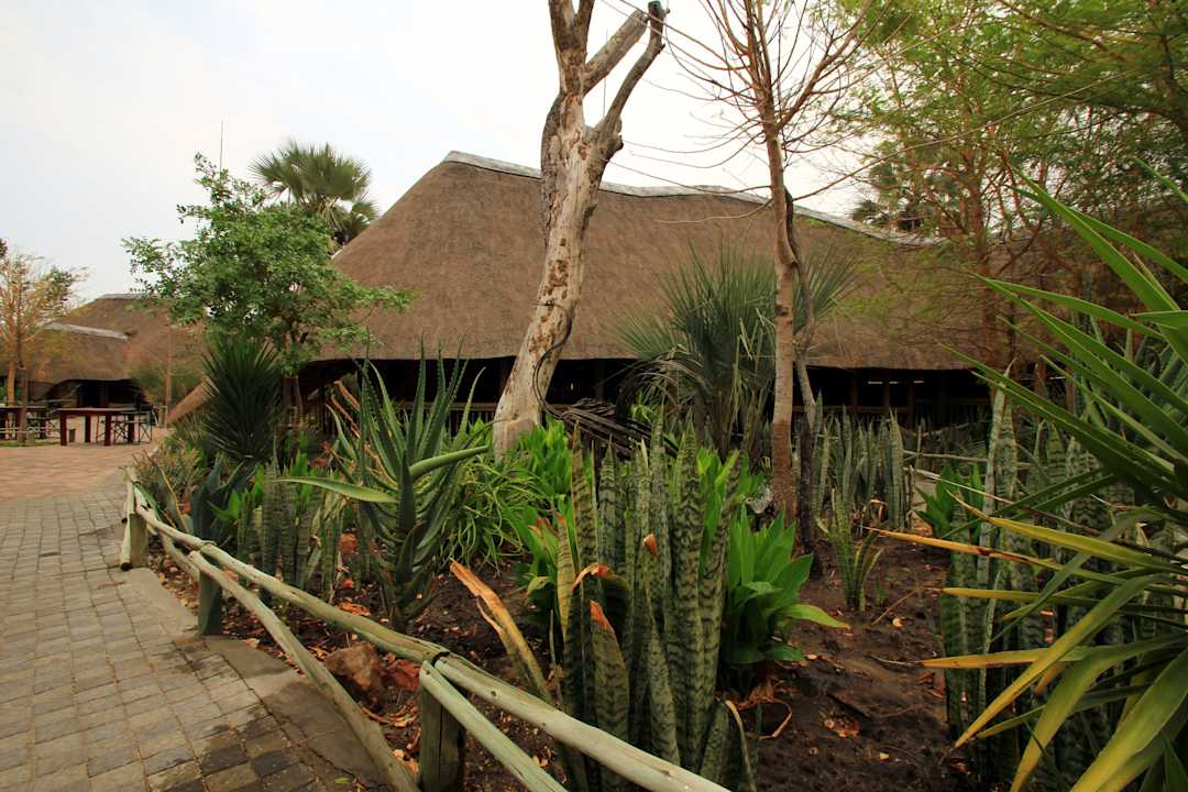 Zugang zum Restaurant Nata Lodge