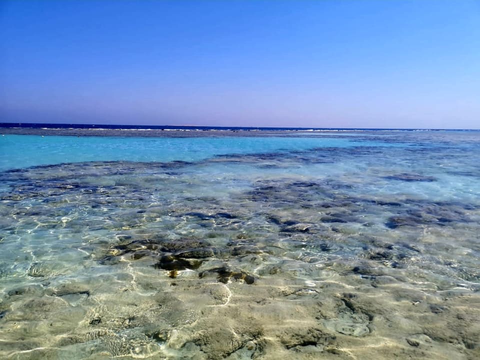 Strand Gravity Hotel & Aquapark Sahl Hasheesh