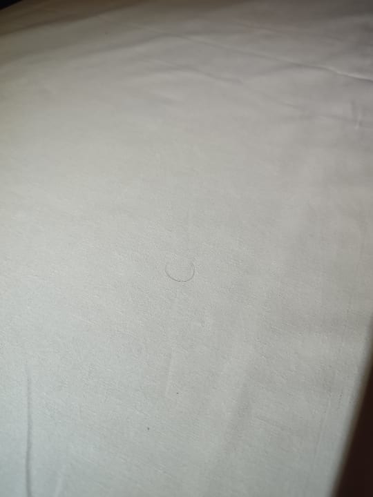 Zimmer Hotel Delta Berlin