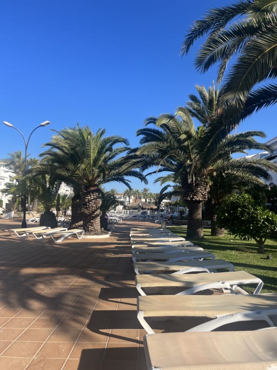 Pool FERGUS Style Bahamas