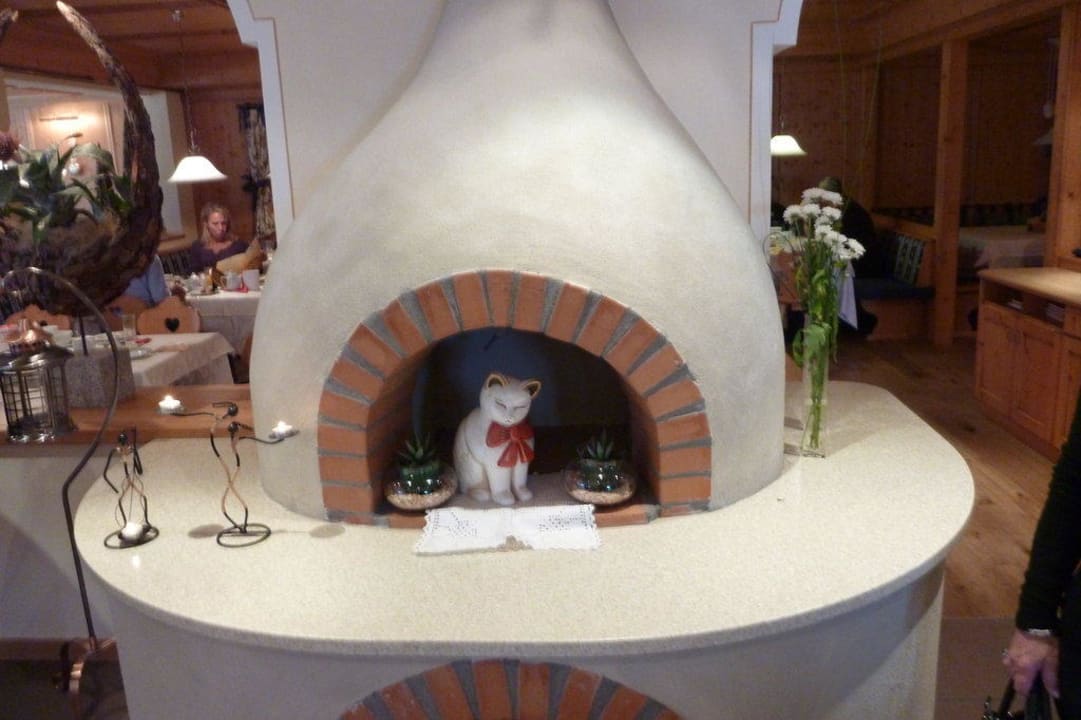 Camino con gattino Berghotel Zirm