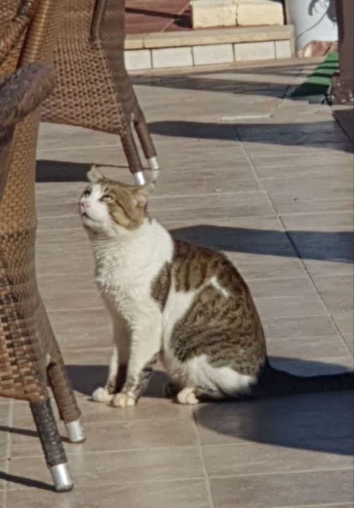 Gastro Hotel Paradis Palace