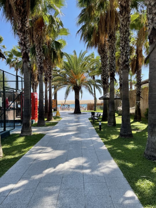 Gartenanlage Miramare Queen Hotel