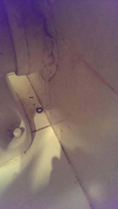 Schmutz unter  und an Toilette  Ghazala Gardens