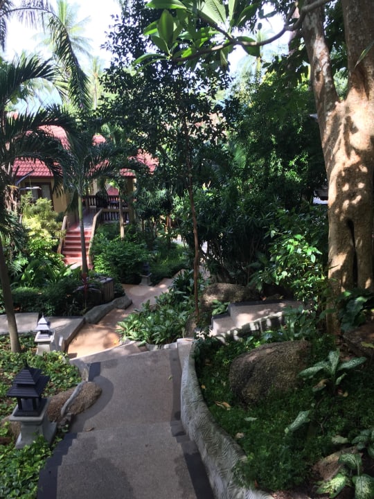 Weg zum Strand The Fair House Beach Resort