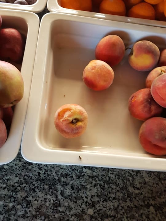 Gastro Hane Family Resort