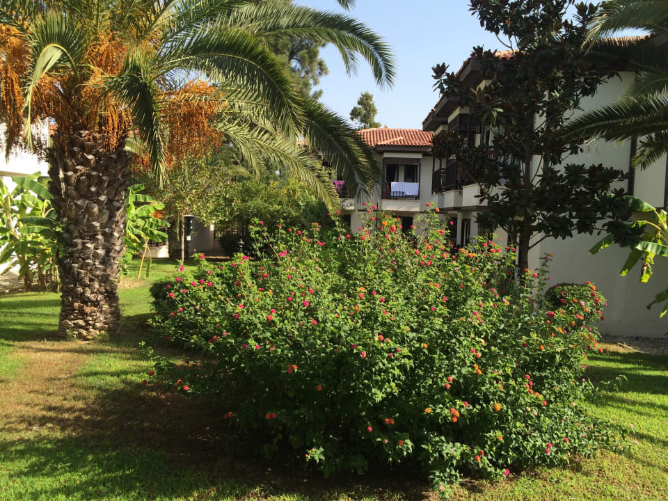 Blick auf ein Bungalow Hotel Club Nena