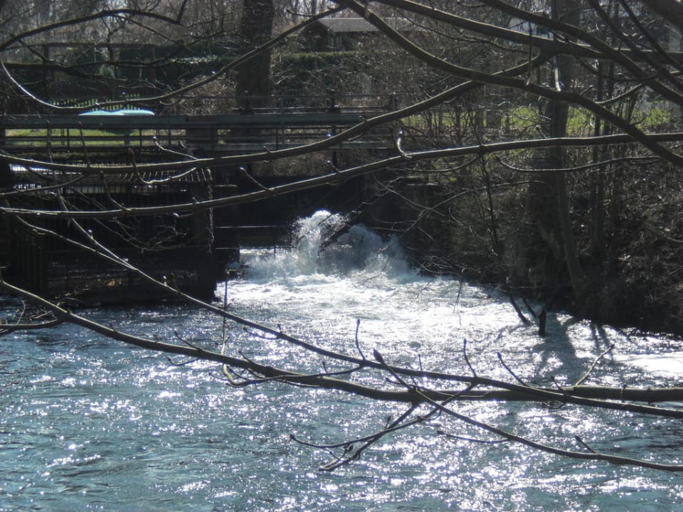 Altes Mühlenwehr am Hotel Hotel zum Löwen