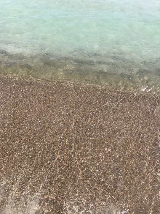 Strand Playa Esperanza Resort