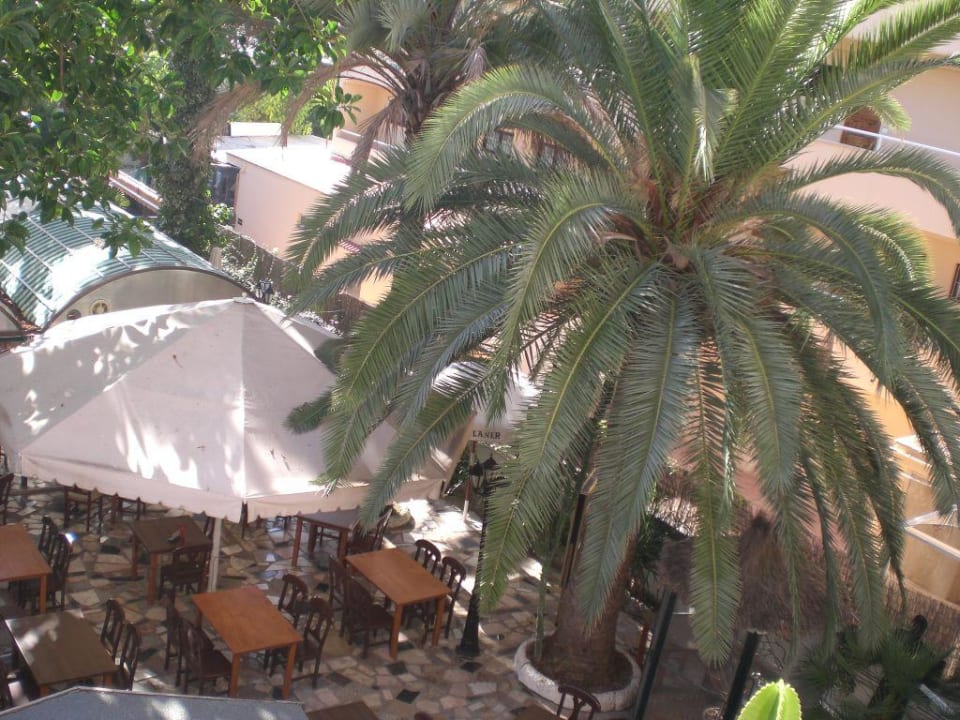 Ausblick vom Balkon Hotel Playas de Paguera