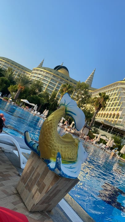 Pool Hotel Delphin Imperial