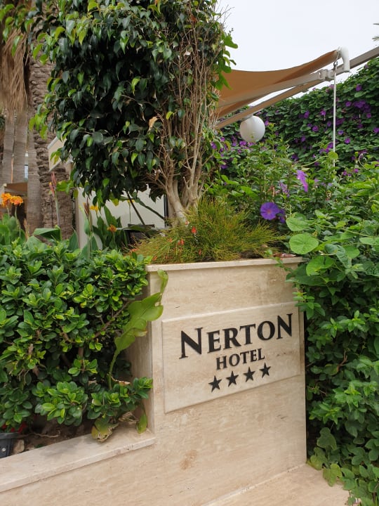 Sonstiges Nerton Hotel - Erwachsenenhotel ab 16 Jahren