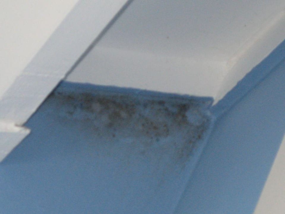 Schimmel an Wand und Decke Center Parcs Park De Haan