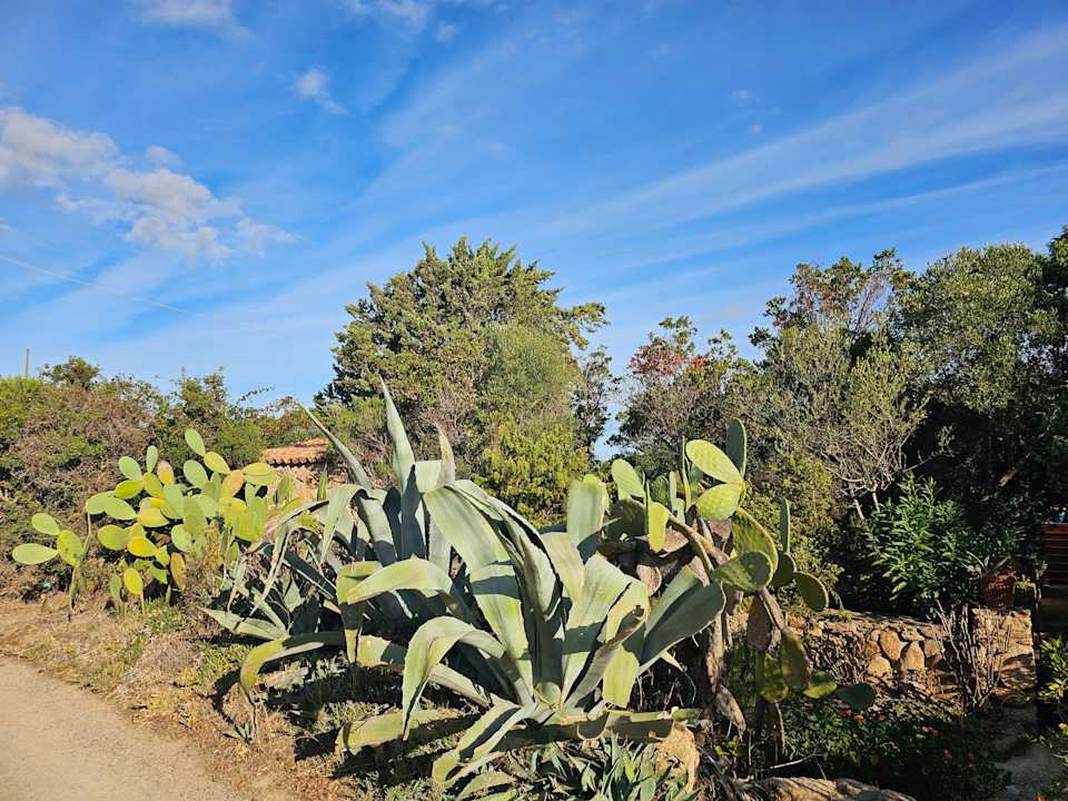 Gartenanlage Residence Hotel Lu Nibareddu