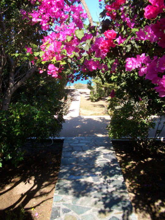 Zugangsweg zum Appartment Saint Nicolas Bungalows