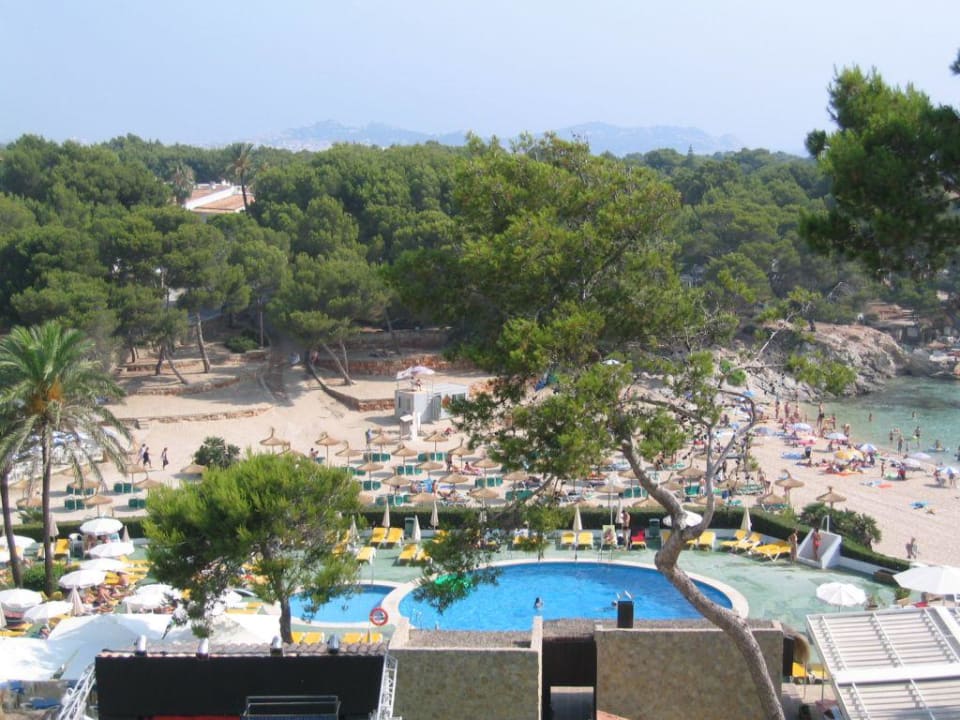 pool und strand AluaSoul Carolina - Adults Only