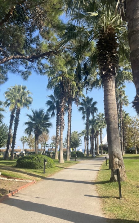 Gartenanlage Balmy Foresta