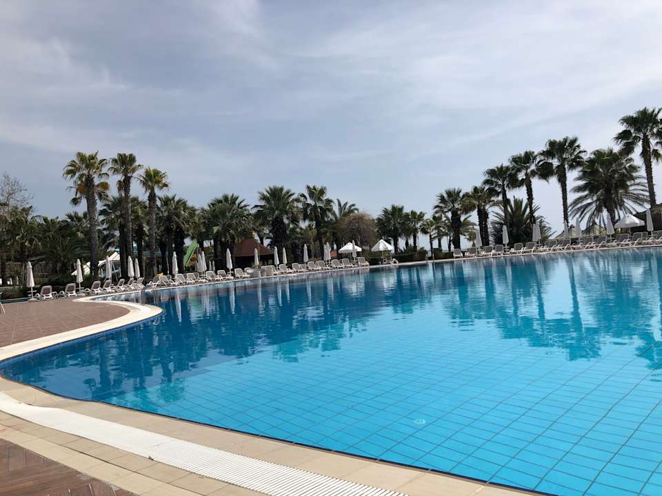 Pool Paloma Oceana