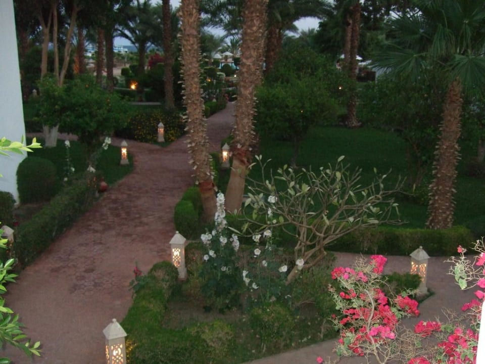 Garten am Abend Lotus Bay Beach Resort