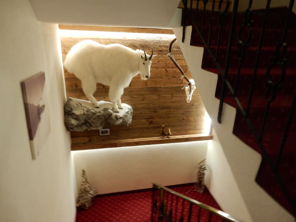 Sonstiges Elisabeth Serfaus