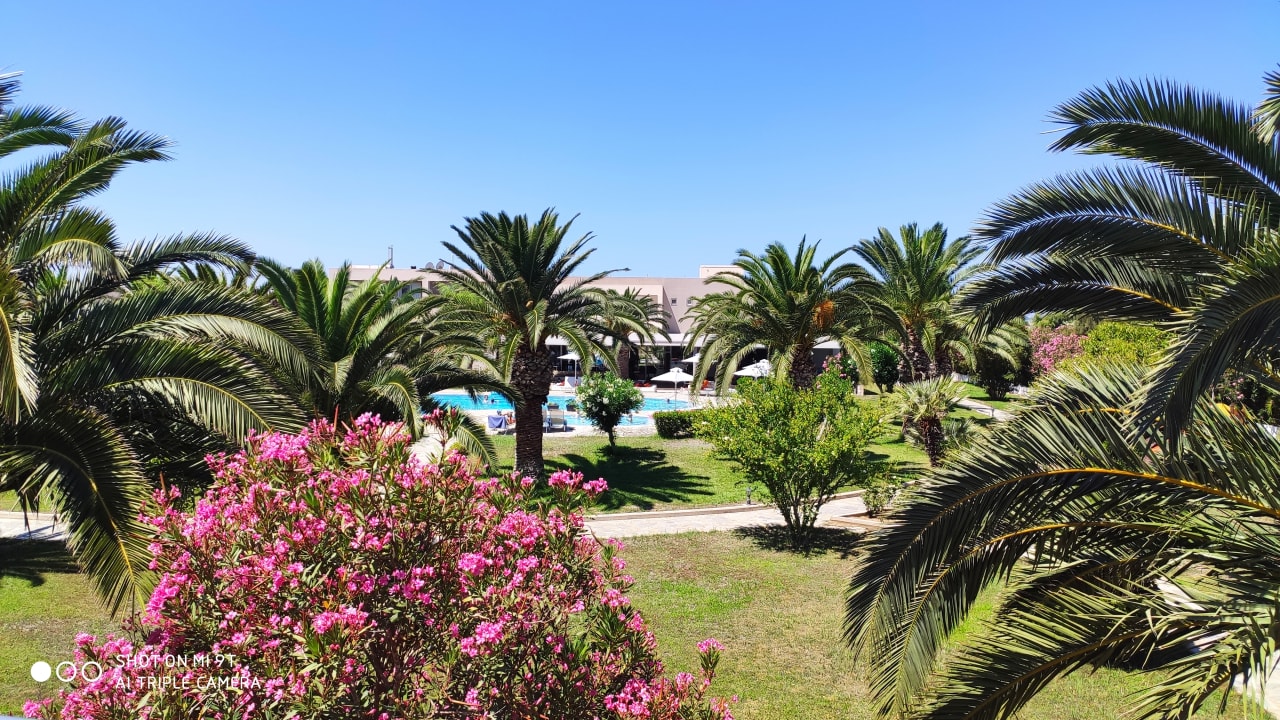 Ausblick Hotel Esperia