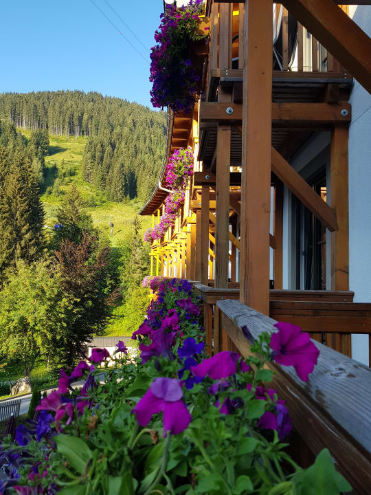 Ausblick Sporthotel Wagrain