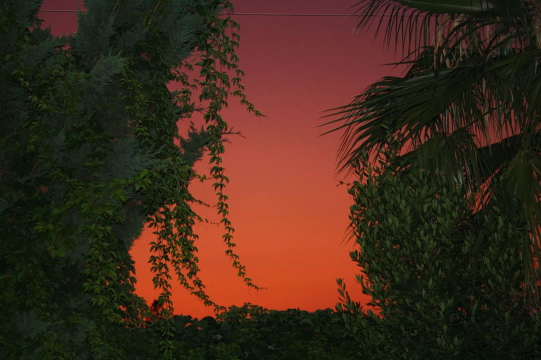 Garten Hotel Orfeus Park